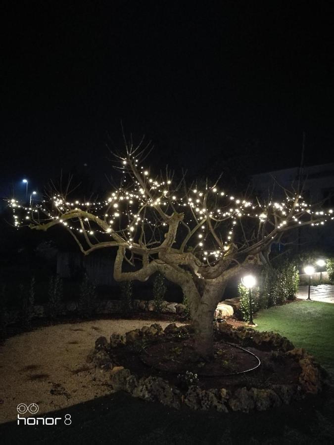 B&B I Trulli Dei Desideri Alberobello Dış mekan fotoğraf